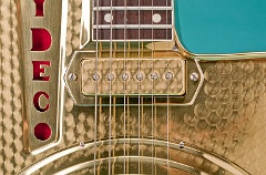 Neck_Pickup_Detail